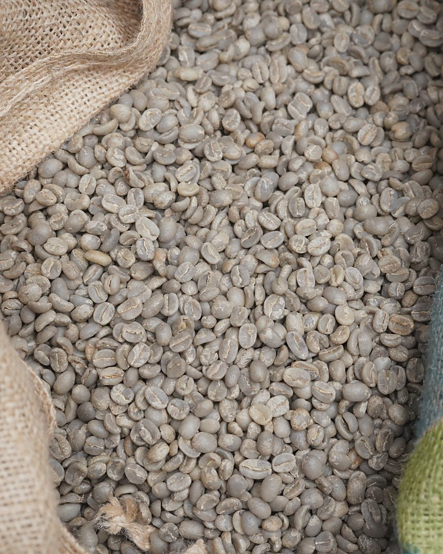 Green coffee beans in jute sacks