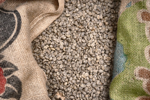 Green coffee beans in burlap sacks